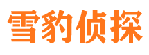 海宁外遇调查取证